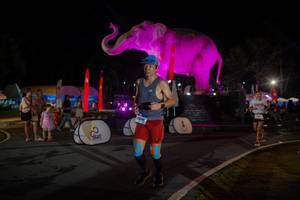 BIB: 
                            <button type="button" onclick="openModal(26552218)" class="btn btn-primary btn-sm float-right btn-popup" data-toggle="modal" data-target=".modal-high-quality">
                        <i class="fas fa-shopping-cart"></i> Add to Cart
                    </button>
                                            <button type="button" onclick="isThisMe(26552218, true)" class="btn btn-success btn-sm float-right btn-popup btn-isme hidden" data-toggle="tooltip" data-placement="bottom" title="นี่คือรูปของคุณใช่ไหม คลิกที่นี่เพื่อเอาเข้าอัลบั้ม">
                        <i class="fas fa-plus"></i> Add to album
                    </button>
                    <button type="button" onclick="isThisMe(26552218, false)" class="btn btn-warning btn-sm float-right btn-popup btn-isnotme hidden">
                        <i class="fas fa-ban"></i> Remove from album
                    </button>